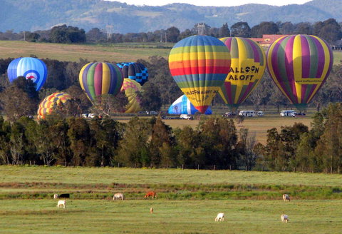 Adina Vineyard - Accommodation Coffs Harbour 9