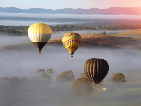 Adina Vineyard - Accommodation Coffs Harbour 21