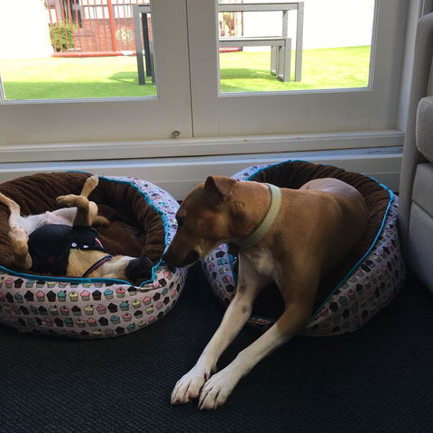 The Ultimo - Accommodation Coffs Harbour 5