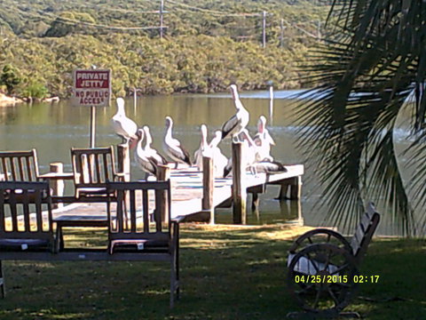 Pelican H2O One & Two Bedroom Apartments - Accommodation Coffs Harbour 9