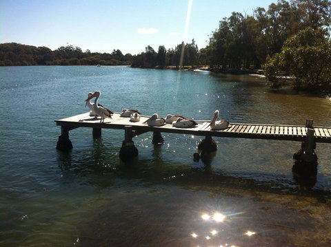 Pelican H2O One & Two Bedroom Apartments - Accommodation Coffs Harbour 5