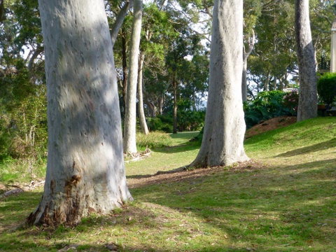 The Retreat At Palm Beach - Accommodation Coffs Harbour 4