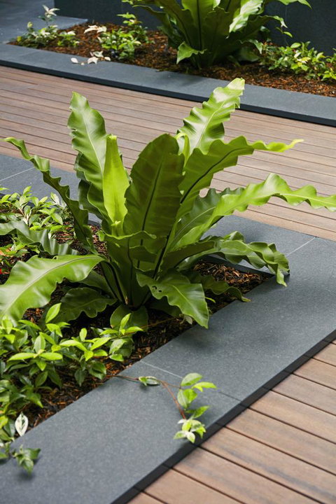 Veriu Camperdown - Accommodation Coffs Harbour 22