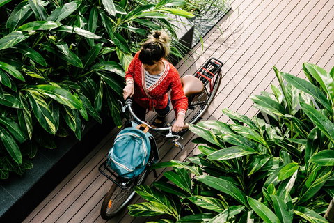 Veriu Camperdown - Accommodation Coffs Harbour 4