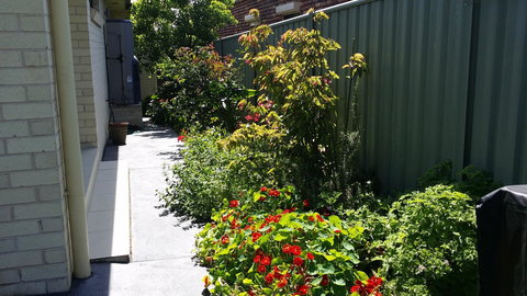 Sydney Amazing Holiday Home Bridal BnB - Accommodation Coffs Harbour 41