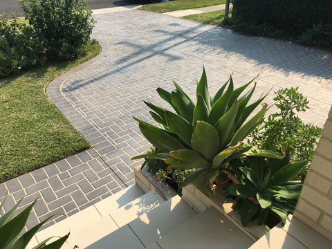 Sydney Amazing Holiday Home Bridal BnB - Accommodation Coffs Harbour 22