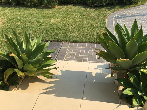 Sydney Amazing Holiday Home Bridal BnB - Accommodation Coffs Harbour 21