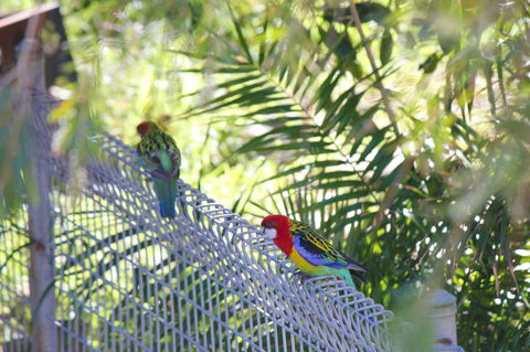 Marty's @ Little Beach - Accommodation Coffs Harbour 27