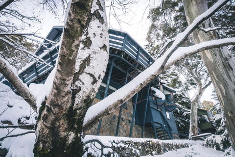 Pure Chalet Thredbo - Accommodation Coffs Harbour 21