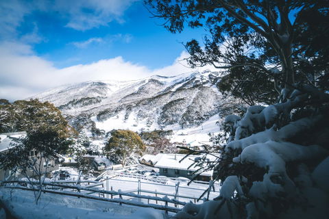 Pure Chalet Thredbo - Accommodation Coffs Harbour 31
