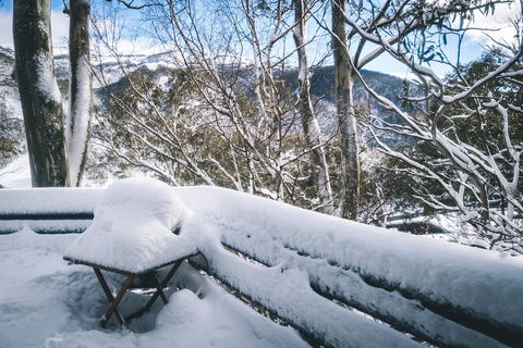 Pure Chalet Thredbo - Accommodation Coffs Harbour 19
