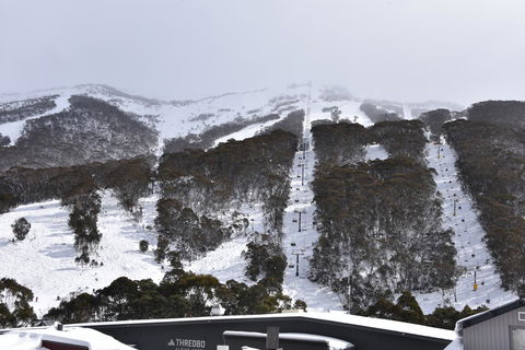 Pure Chalet Thredbo - Accommodation Coffs Harbour 6