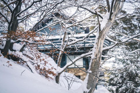 Pure Chalet Thredbo - Accommodation Coffs Harbour 27