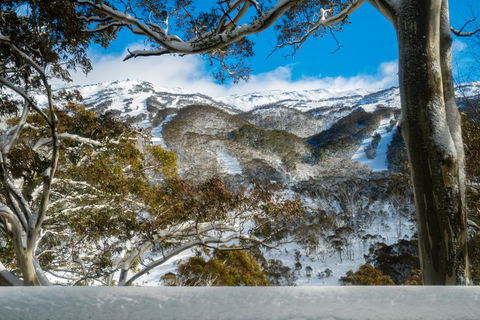 Pure Chalet Thredbo - Accommodation Coffs Harbour 17