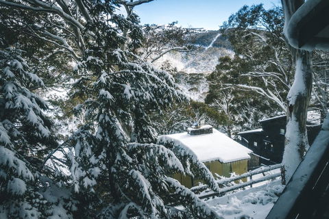 Pure Chalet Thredbo - Accommodation Coffs Harbour 34