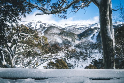 Pure Chalet Thredbo - Accommodation Coffs Harbour 2