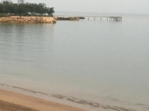 Nightcliff Foreshore Getaway - McKay Gardens - Accommodation Coffs Harbour 27