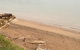 Nightcliff Foreshore Getaway - McKay Gardens - thumb 28