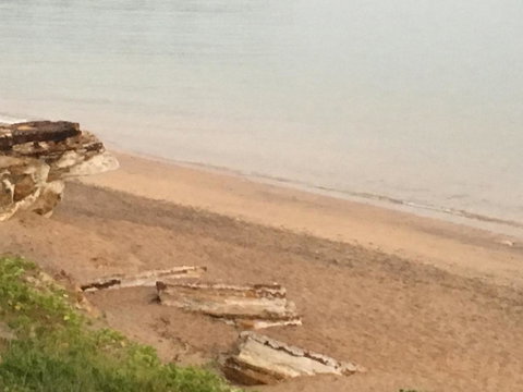 Nightcliff Foreshore Getaway - McKay Gardens - Accommodation Coffs Harbour 28
