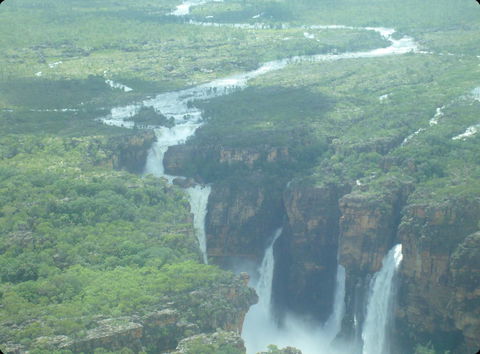 Mercure Kakadu Crocodile - Accommodation Coffs Harbour 33
