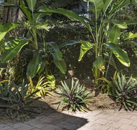 Nineteen on Nudl - Accommodation Coffs Harbour