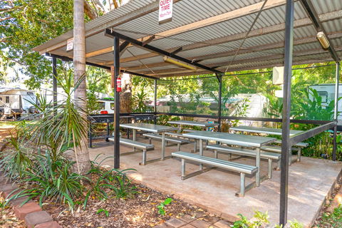 Oasis Tourist Park - Accommodation Coffs Harbour 19