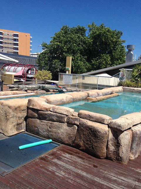 Melaleuca On Mitchell - Darwin YHA - Accommodation Coffs Harbour 30
