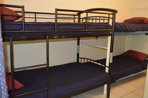 Frogs-Hollow Backpackers - Accommodation Coffs Harbour 7