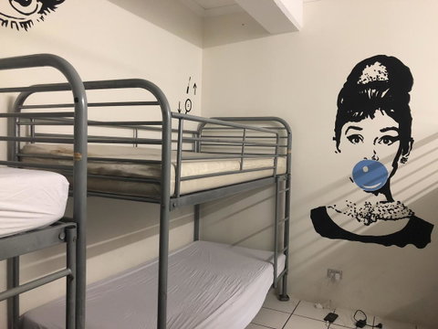 Frogs-Hollow Backpackers - Accommodation Coffs Harbour 33