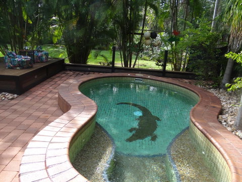 DARWIN'S SHADY ACRES RETREAT - Accommodation Coffs Harbour 13