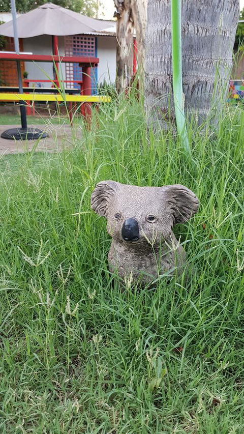 Alice\'s Secret Travellers Inn - Accommodation Coffs Harbour 25