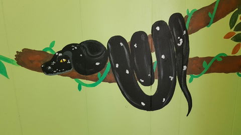 Alice\'s Secret Travellers Inn - Accommodation Coffs Harbour 37