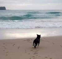 Breakers at Mudjimba Beach - Accommodation Coffs Harbour