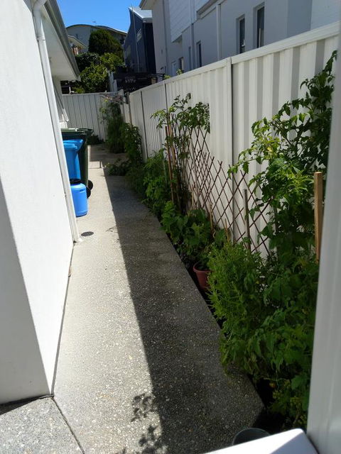 C'est La Vie - Accommodation Coffs Harbour 2
