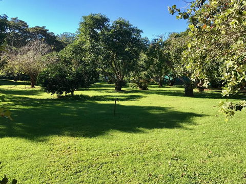 Camelot Cottages - Accommodation Coffs Harbour 2