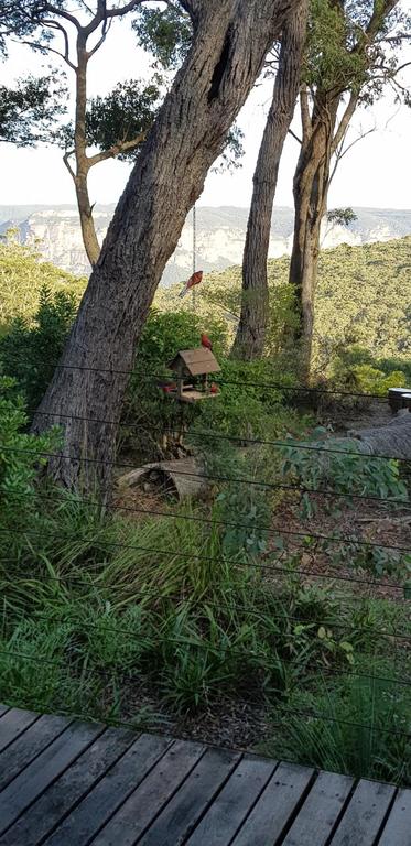 Canyon Cottage - Accommodation Coffs Harbour 3
