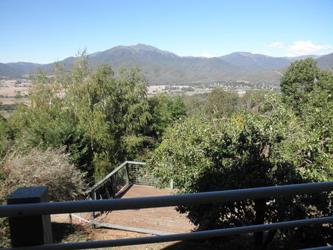 Captain Moonlight Cottage - Accommodation Coffs Harbour 3