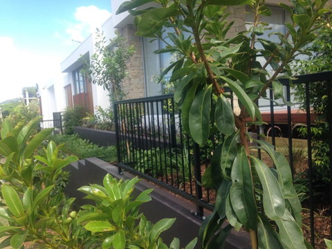 City Pads 2 - Accommodation Coffs Harbour 0