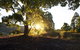 Clarendon Forest Retreat - thumb 0