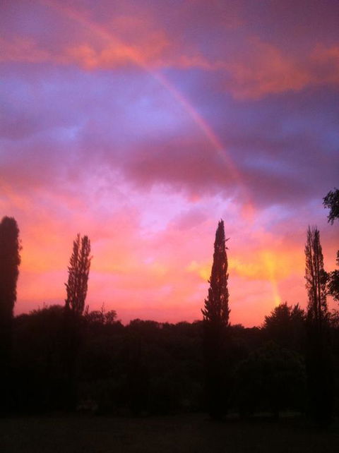 Cloudlake Mountain Retreat - Accommodation Coffs Harbour 1