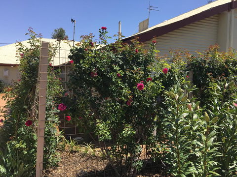 Club Boutique Hotel Cunnamulla - Accommodation Coffs Harbour 2