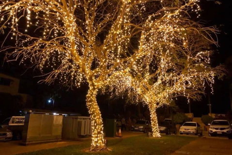Cullen Bay Villa - Accommodation Coffs Harbour 3
