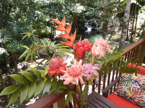 Daintree Secrets Rainforest Sanctuary - Accommodation Coffs Harbour 1