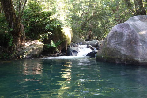 Daintree Secrets Rainforest Sanctuary - Accommodation Coffs Harbour 0