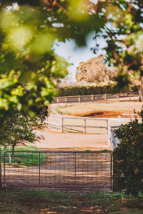 Dalblair Bed & Breakfast - Accommodation Coffs Harbour 3