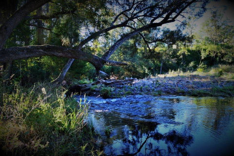 Eighteen Mile Cottage - Accommodation Coffs Harbour 1