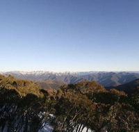 Elkhorn 7 - Accommodation Coffs Harbour