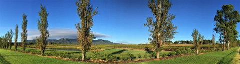 Estate Tuscany - Accommodation Coffs Harbour 1
