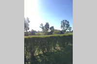 Book Benalla Accommodation Vacations Accommodation Coffs Harbour Accommodation Coffs Harbour