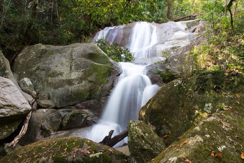 Fishery Falls Holiday Park - Accommodation Coffs Harbour 3